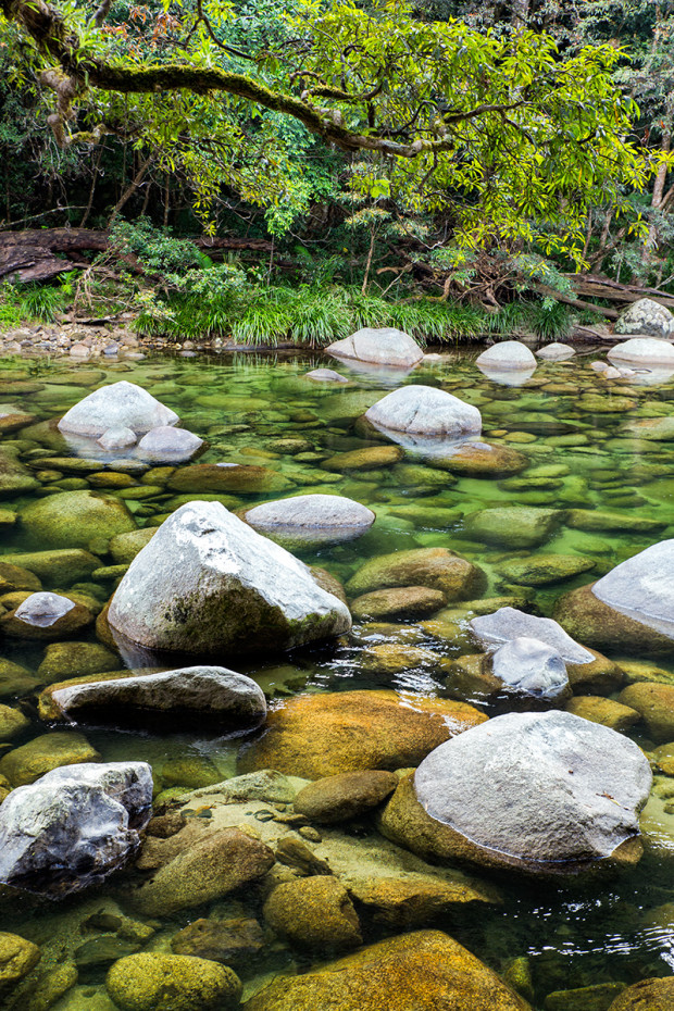 Mosman Gorge Queensland